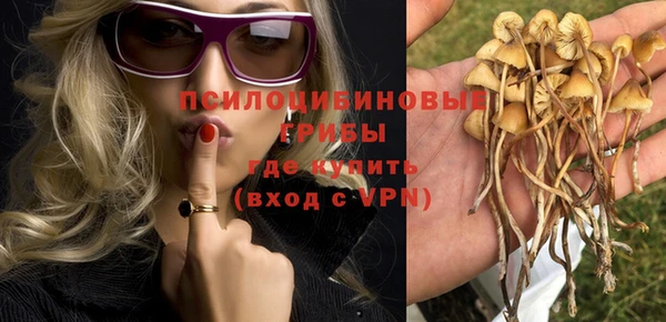 прущая мука Снежинск