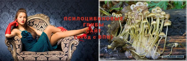 PSILOCYBIN Заречный